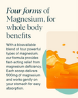Magnificent: 4-in-1 Magnesium Powder Supplement - Tangerine Flavor