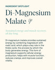 Magnificent: 4-in-1 Magnesium Powder Supplement - Tangerine Flavor