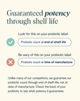 Daily Essential Probiotic + Prebiotic