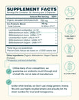 Daily Essential Probiotic + Prebiotic