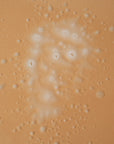 Organic Micellar Water - 4.0oz/120ml
