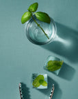 Deodorant Balm - Basil Mint