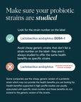 Daily Essential Probiotic + Prebiotic